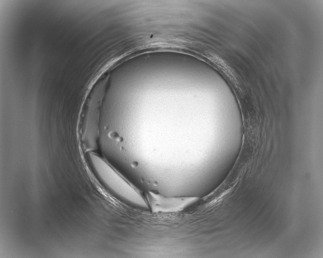 X0000067830893200605041620