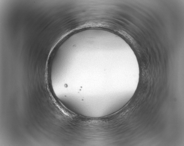 X0000067830894200605041620