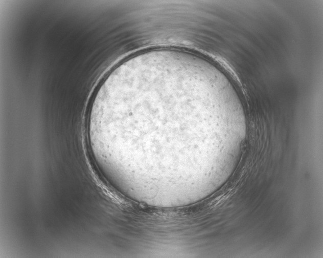 X0000067830895200605041620