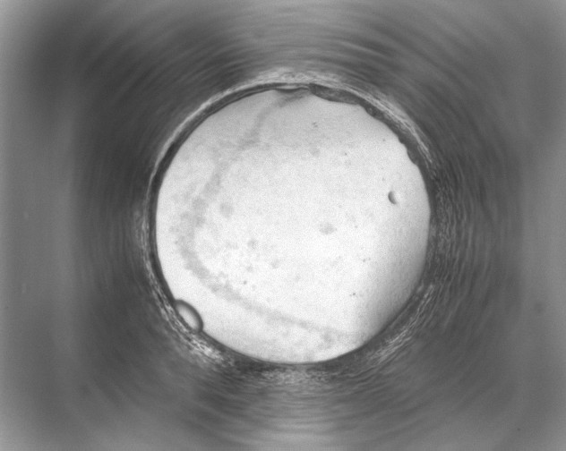 X0000067830896200605041620