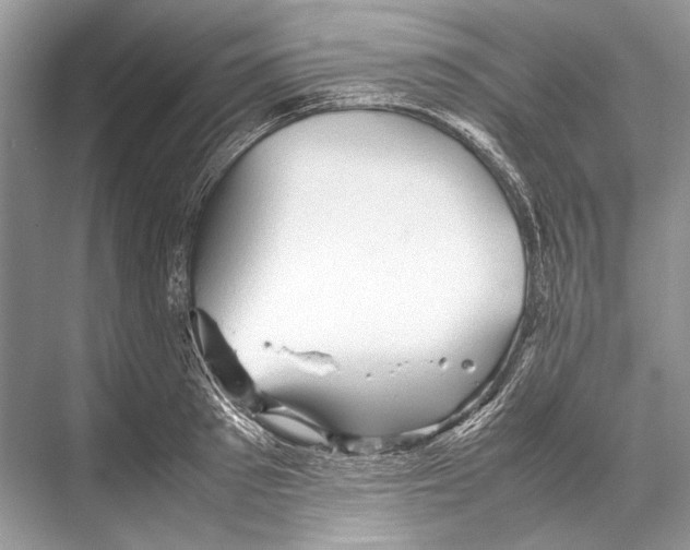 X0000067830897200605041620