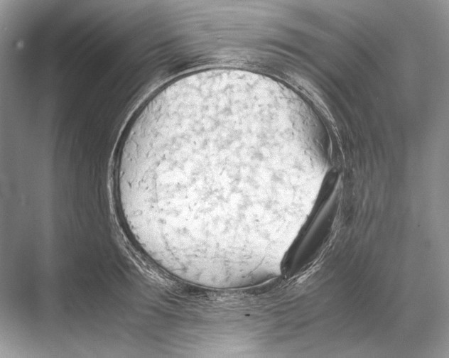 X0000067830899200605041620