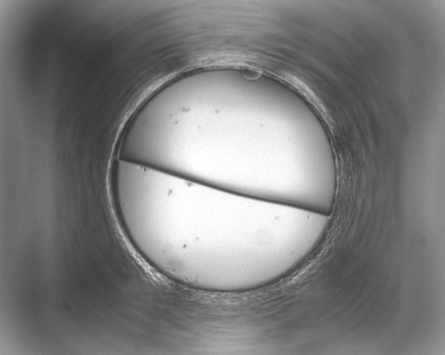 X0000067830901200605041620