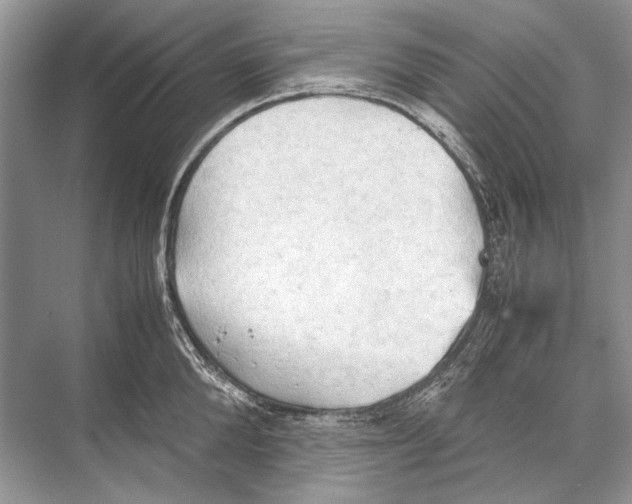 X0000067830904200605041620