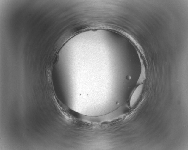 X0000067830905200605041620