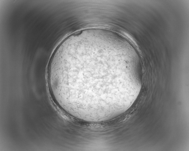 X0000067830907200605041620