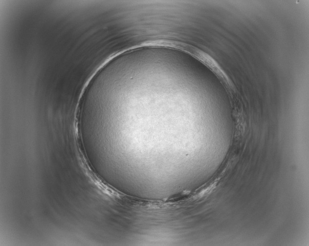 X0000067830908200605041620