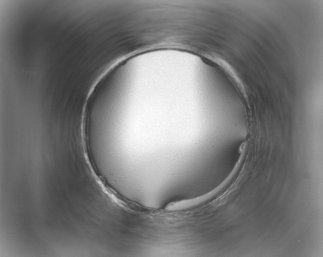 X0000067830910200605041620