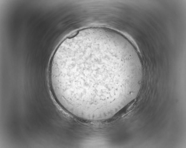 X0000067830911200605041620