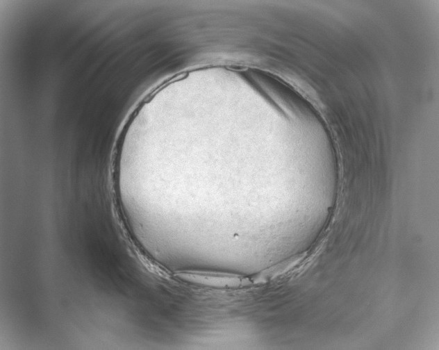 X0000067830912200605041620