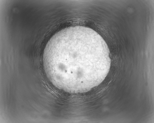 X0000067830913200605041619