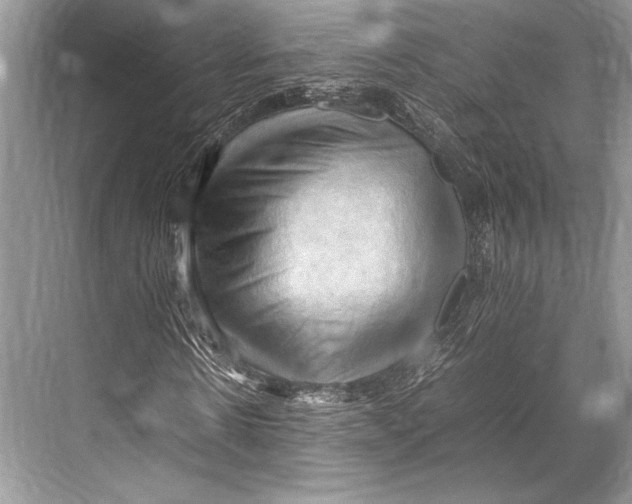 X0000067830914200605041619