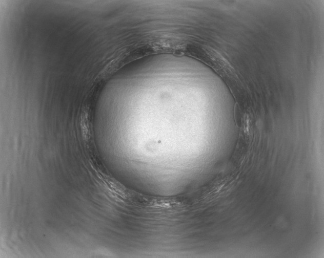 X0000067830915200605041619