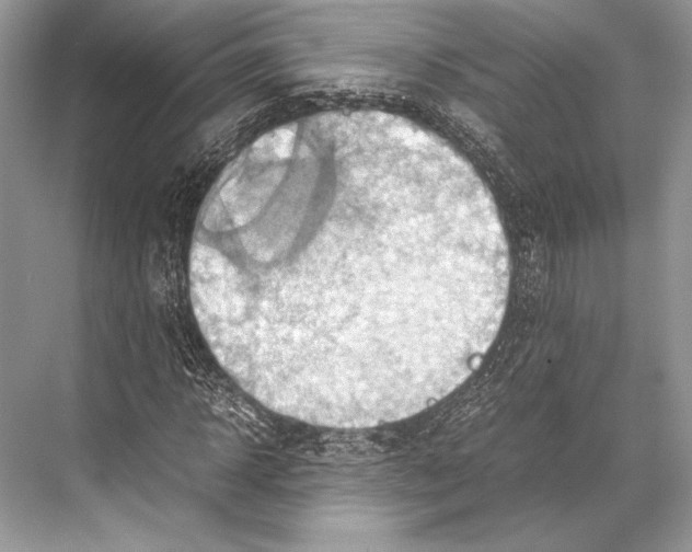 X0000067830918200605041619