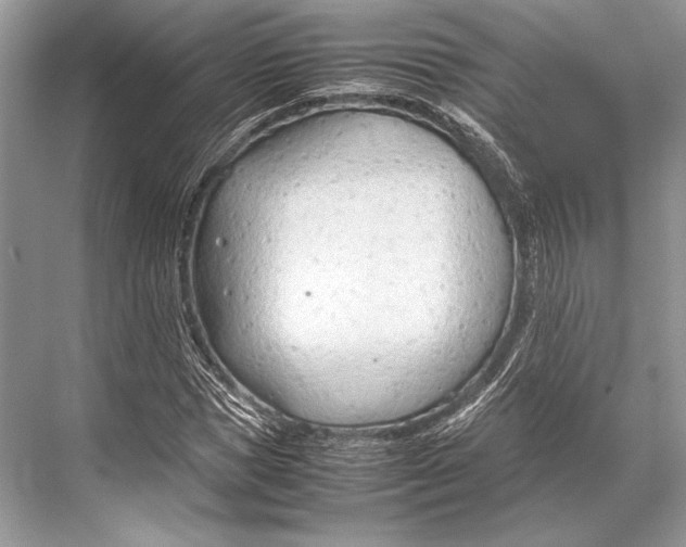 X0000067830921200605041619