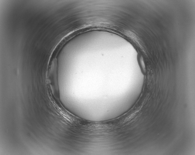 X0000067830924200605041619