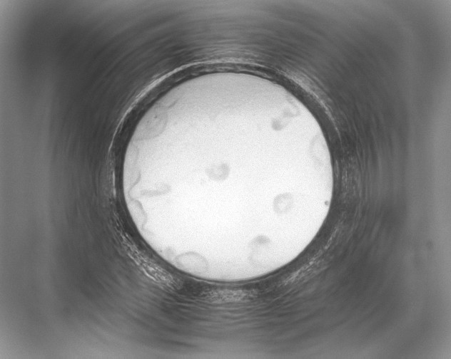 X0000067830925200605041619