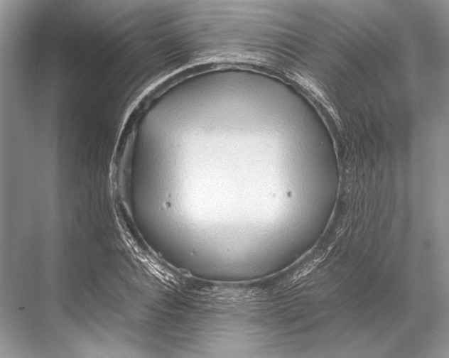 X0000067830928200605041620