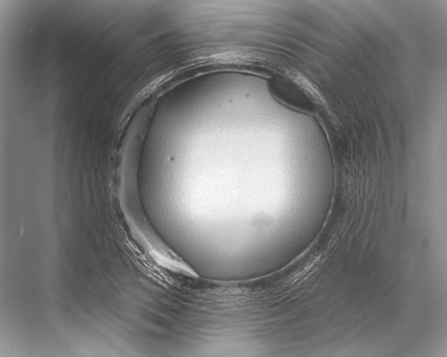 X0000067830930200605041620