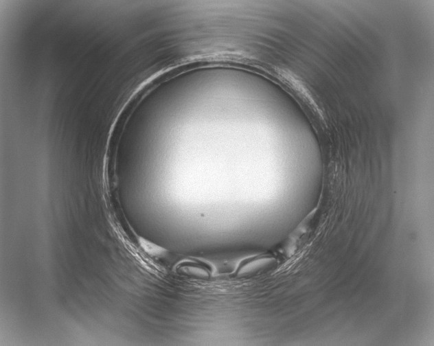 X0000067830932200605041620