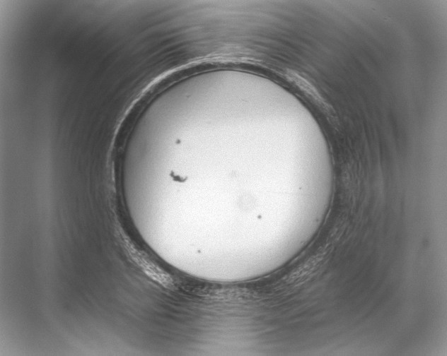 X0000067830934200605041620