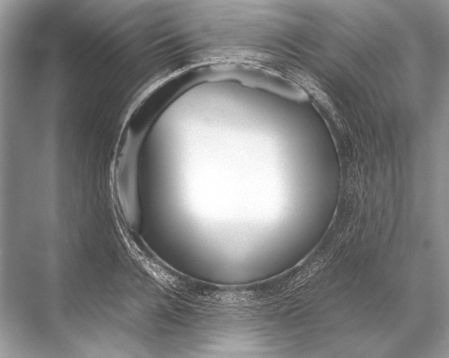 X0000067830936200605041620