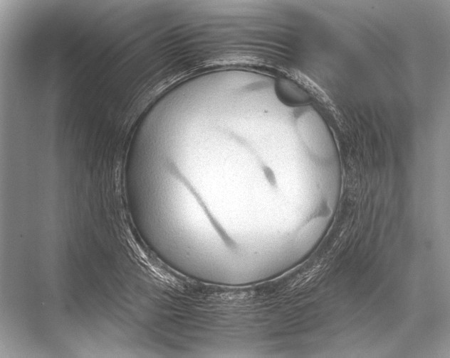 X0000067830937200605041620