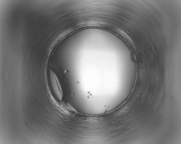 X0000067830938200605041620