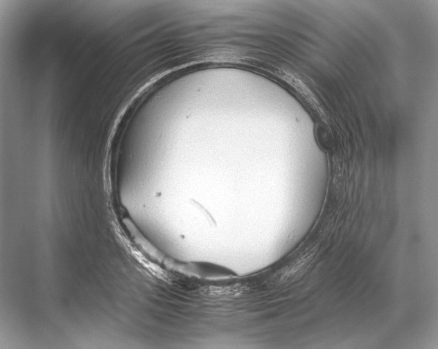 X0000067830939200605041620