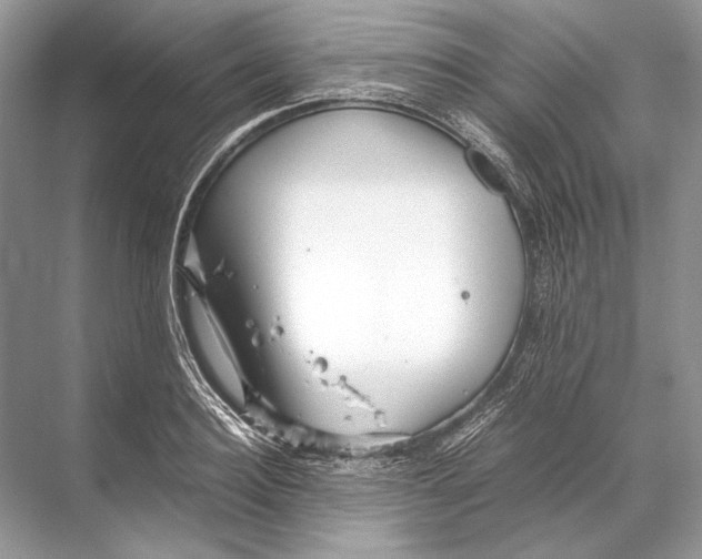 X0000067830940200605041620