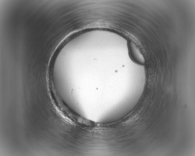 X0000067830942200605041620