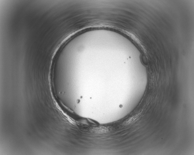 X0000067830943200605041620