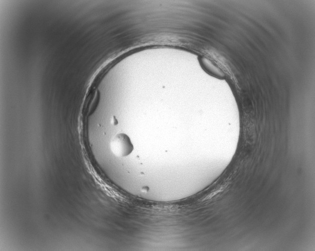 X0000067830944200605041620