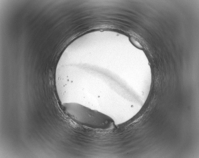 X0000067830945200605041620