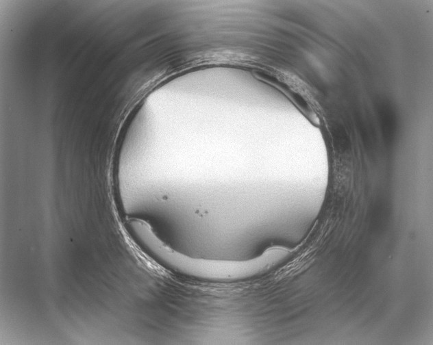 X0000067830946200605041620