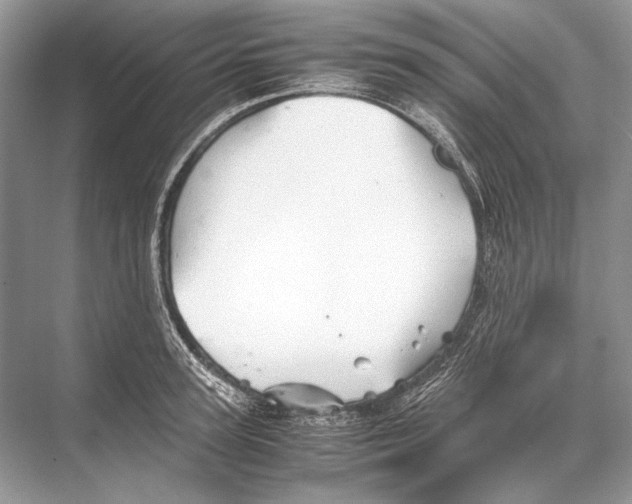 X0000067830947200605041620