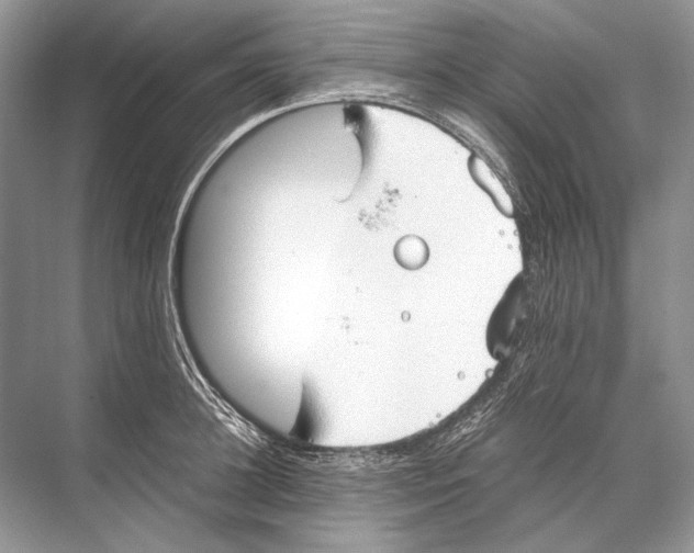 X0000067830948200605041620