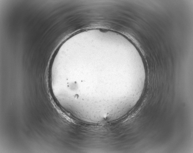 X0000067830949200605041620