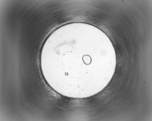 X0000067830950200605041620