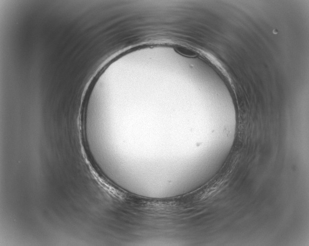 X0000067830951200605041620