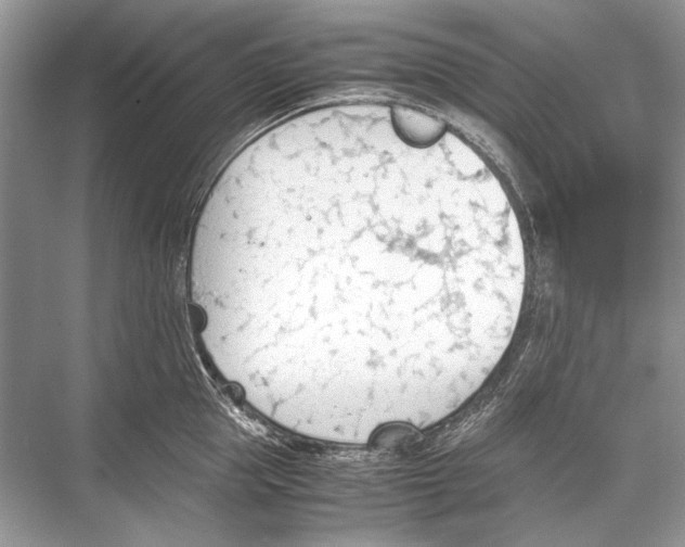 X0000067830953200605041620