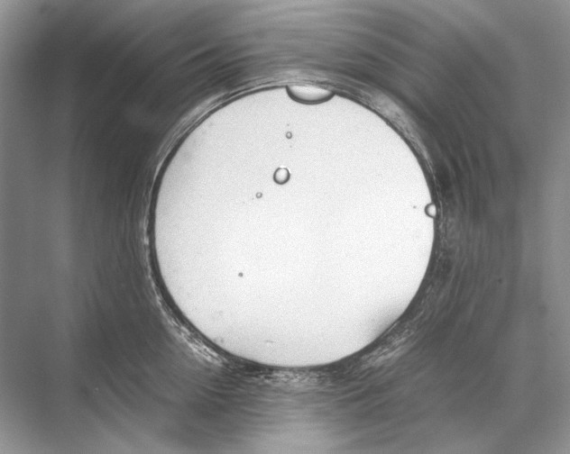 X0000067830954200605041620