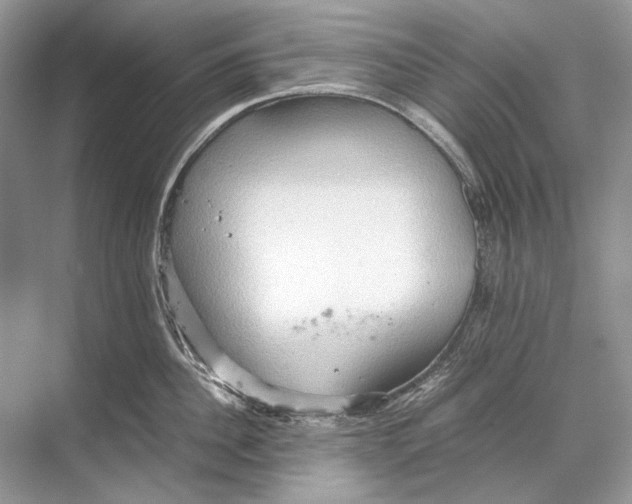 X0000067830956200605041620