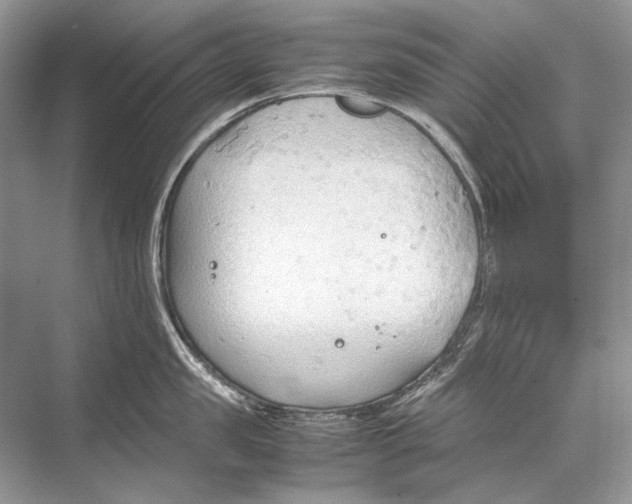 X0000067830957200605041620