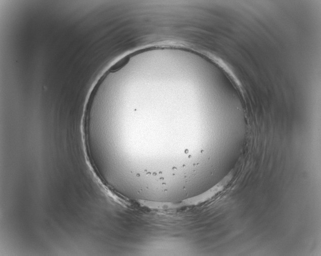 X0000067830959200605041620