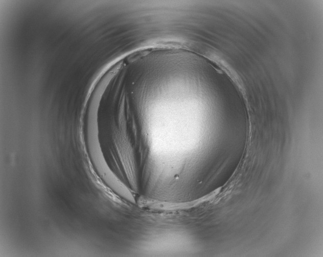 X0000067830960200605041620