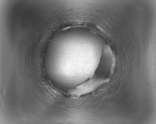 X0000067830961200605041619