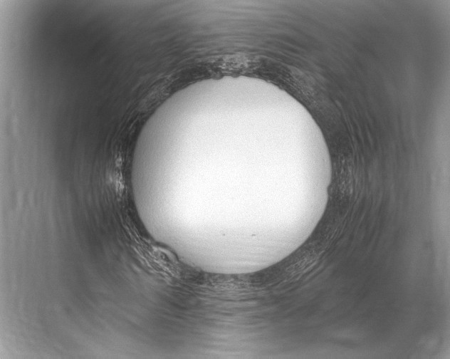 X0000067830962200605041619