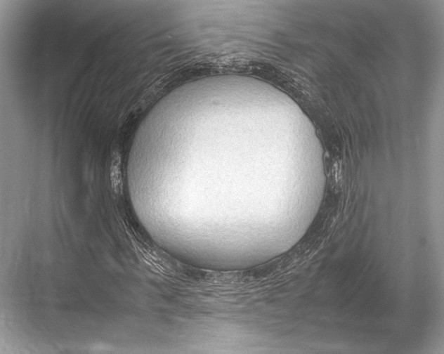 X0000067830963200605041619