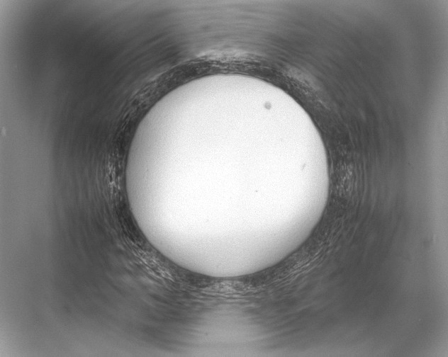 X0000067830966200605041619